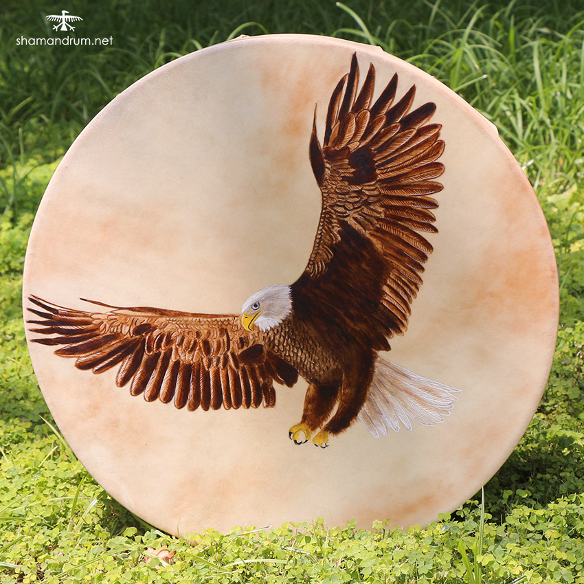 bald eagle shaman drum 1