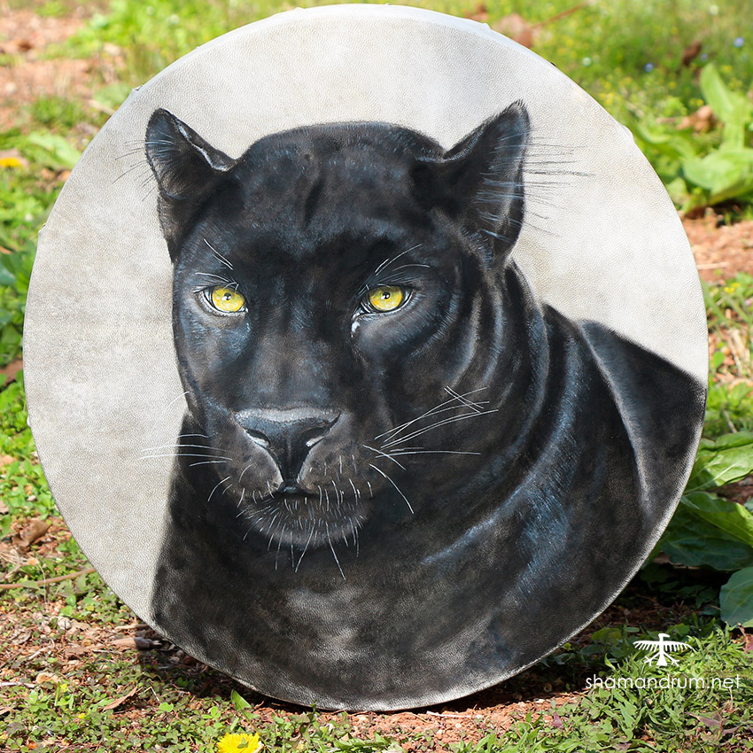 black panther shaman drum 3