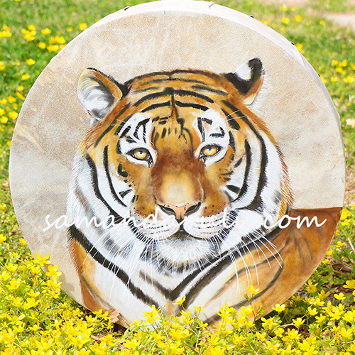 Kaplan Şaman Davulu